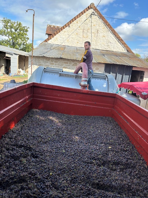 Domaine du Four à Chaux — photo 3