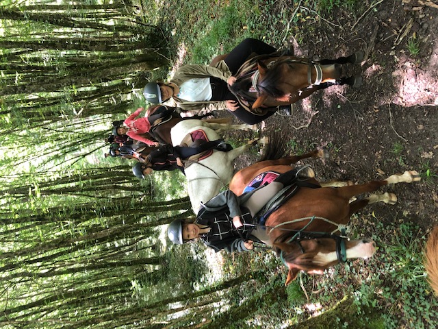 Bivouac-rando à cheval ou à poney - photo 5