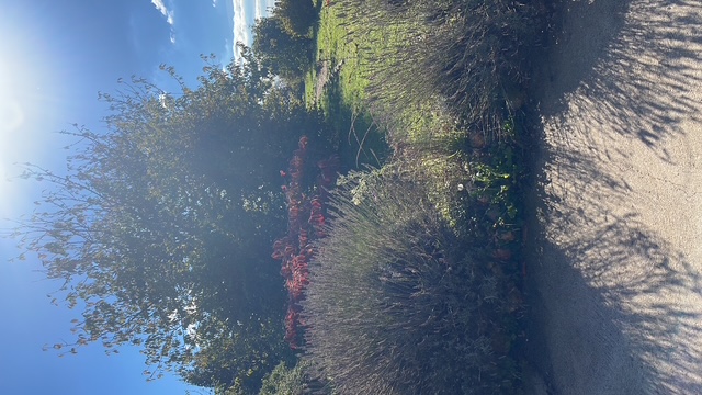 L'atelier de Marielle, Vald'Yerre - photo 6