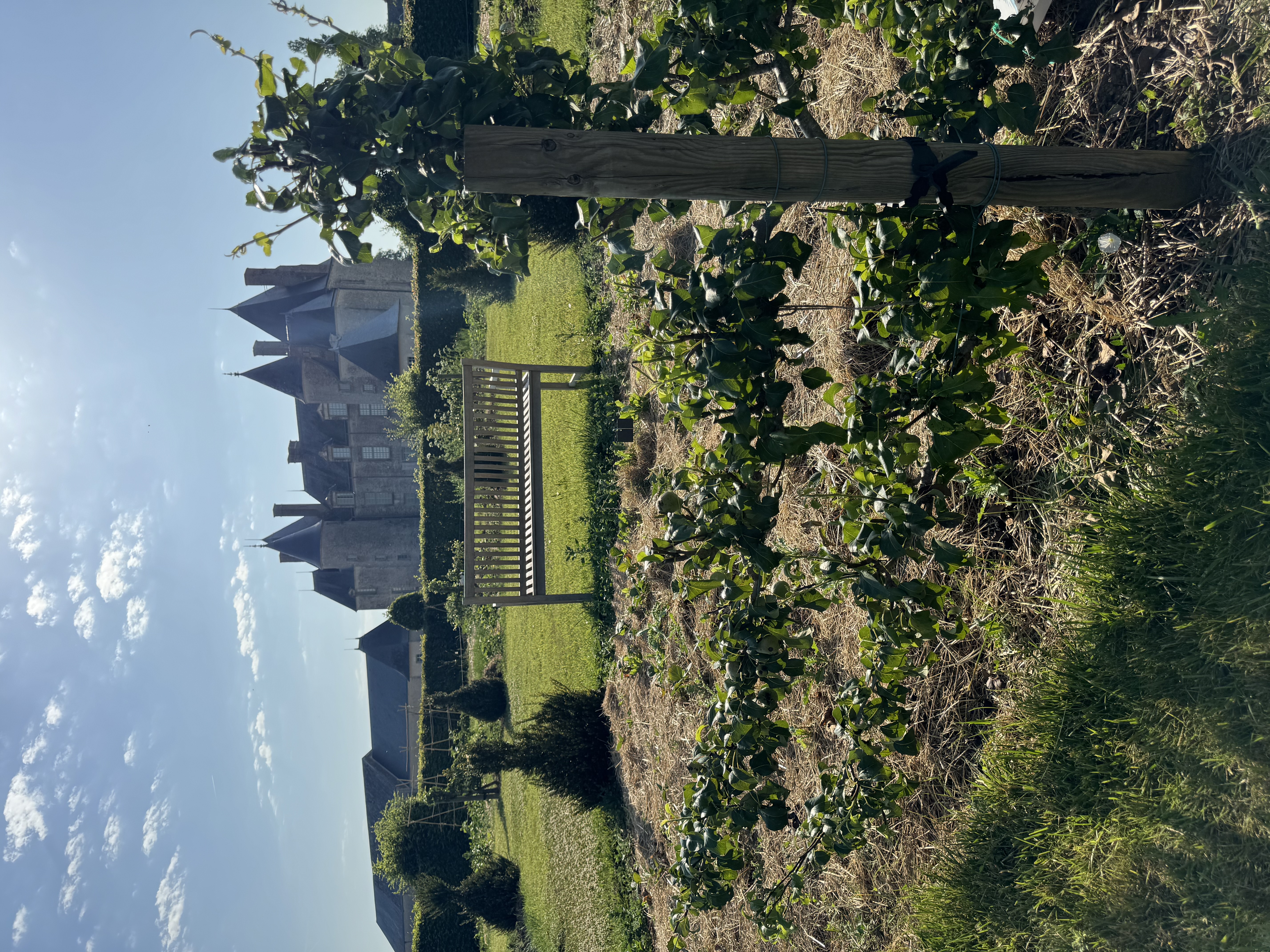 Parc et potager du château de Villepion
