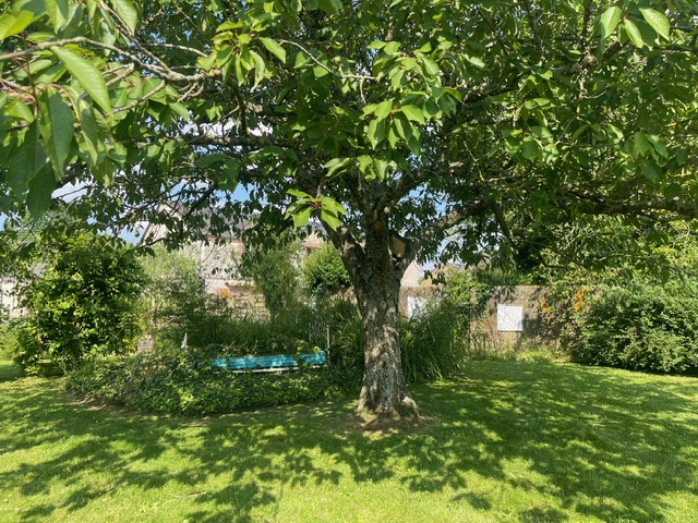 L'atelier de Marielle, Vald'Yerre - photo 2