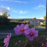 La Vallée de la Vienne - Parcours complet — photo 3