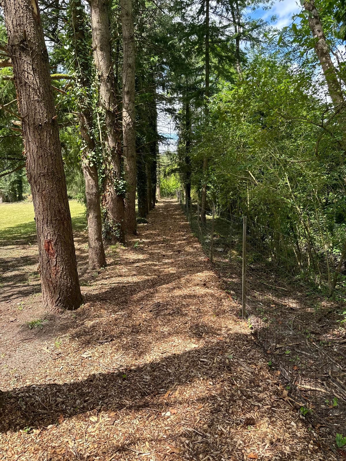 Le Clos André, Thoury - photo 9