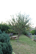 Meublé Les Belettes, Villequiers - photo 4