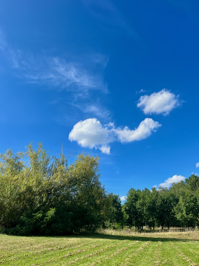 Lodge Park - La Chevellière, Saint-Romain-sur-Cher - photo 12
