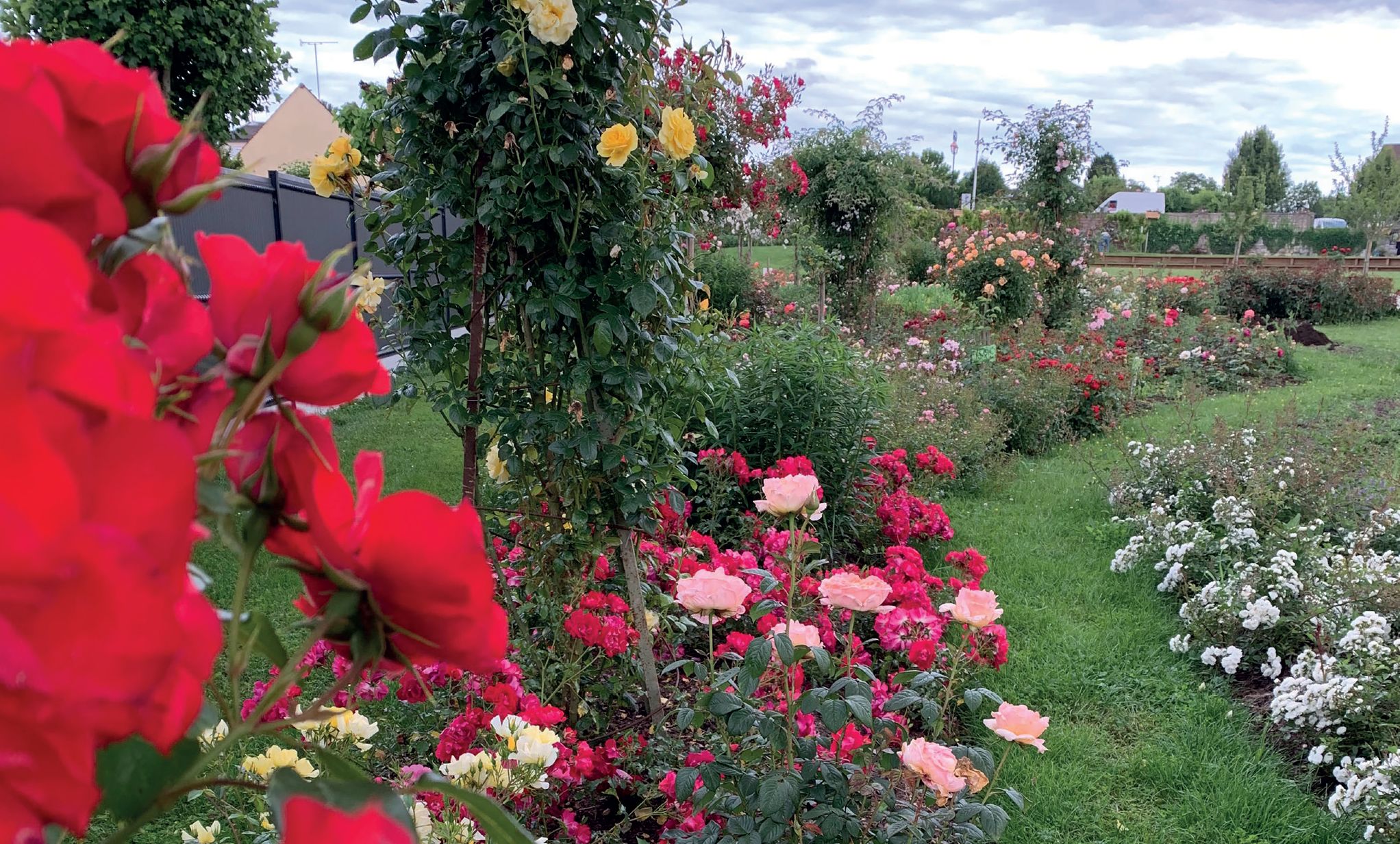 Sentier de la Rose, Quiers-sur-Bezonde - photo 4