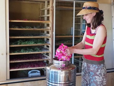 Rendez-vous au jardin des roses, Sepmes - photo 4