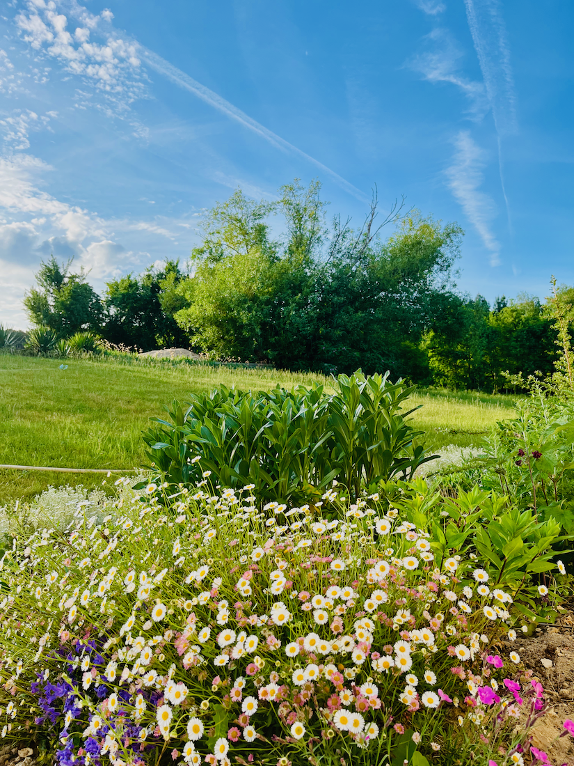 Lodge Park - La Chevellière, Saint-Romain-sur-Cher - photo 9