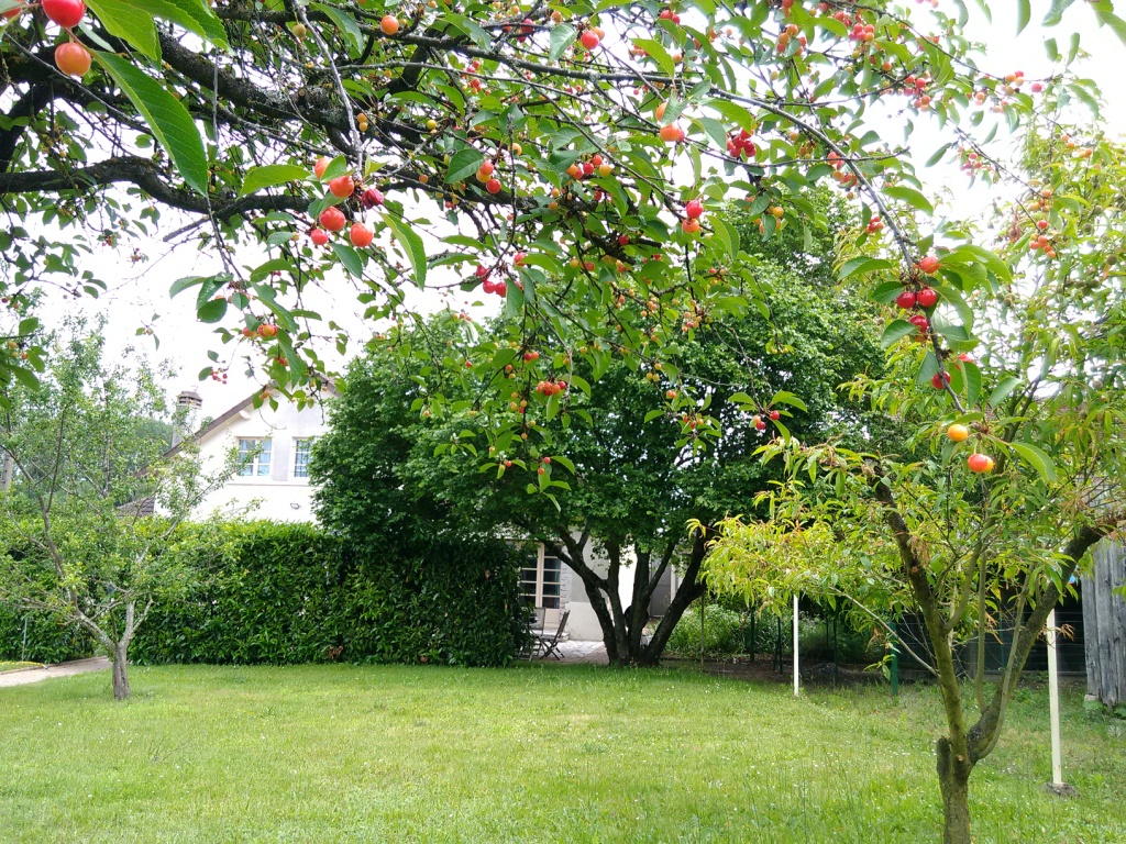 Tribu de beauval, Saint-Aignan - photo 14