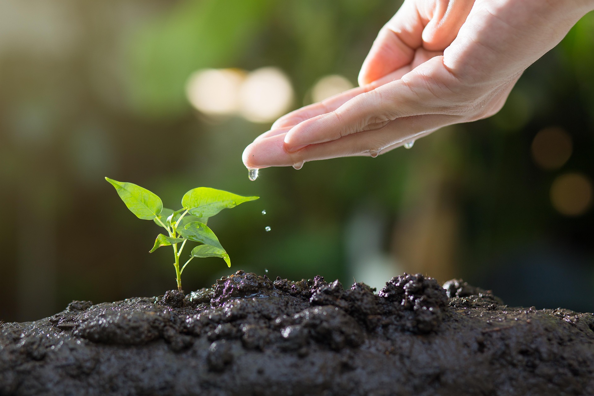 Chantier Participatif : Semon une Zone de Biodiversité — visuel événement