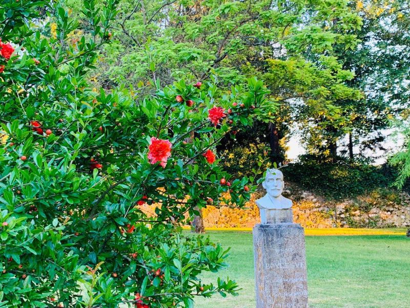 Jardin René Boylesve, Descartes - photo 5