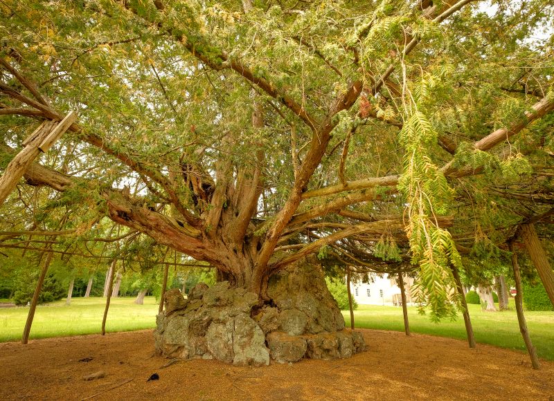 Le Château de La Motte-Feuilly, La Motte-Feuilly - photo 4