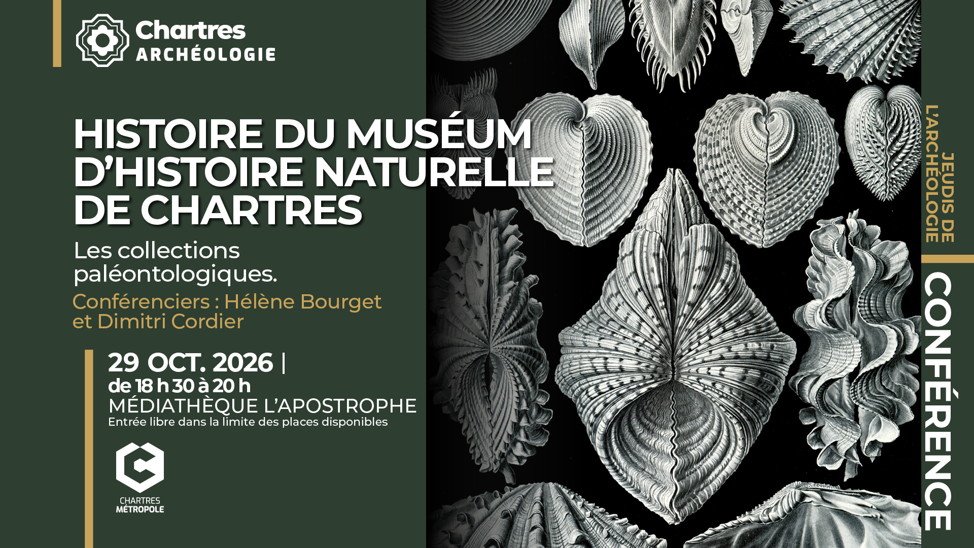 Jeudis de l'archéologie – Histoire du Muséum d’histoire naturelle de Chartres : les collections paléontologiques