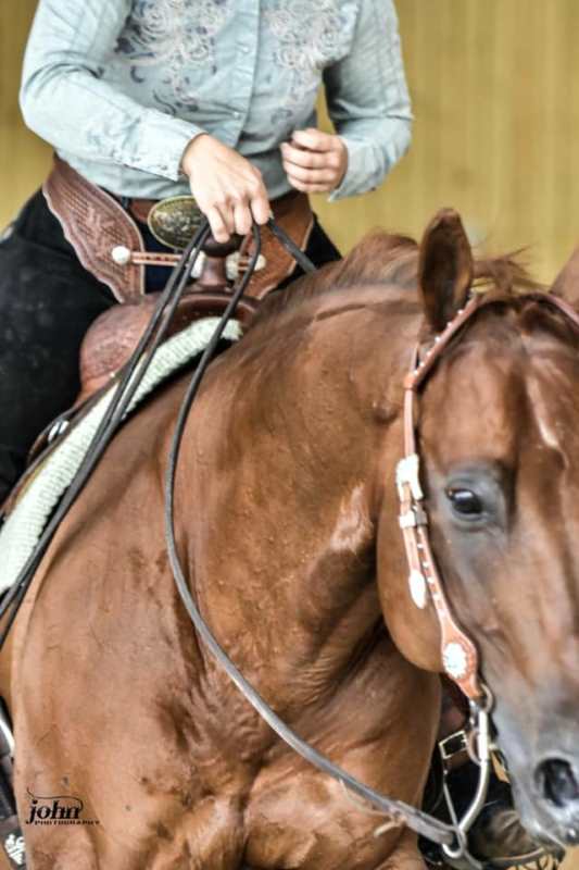 Equitation western JJ Performance