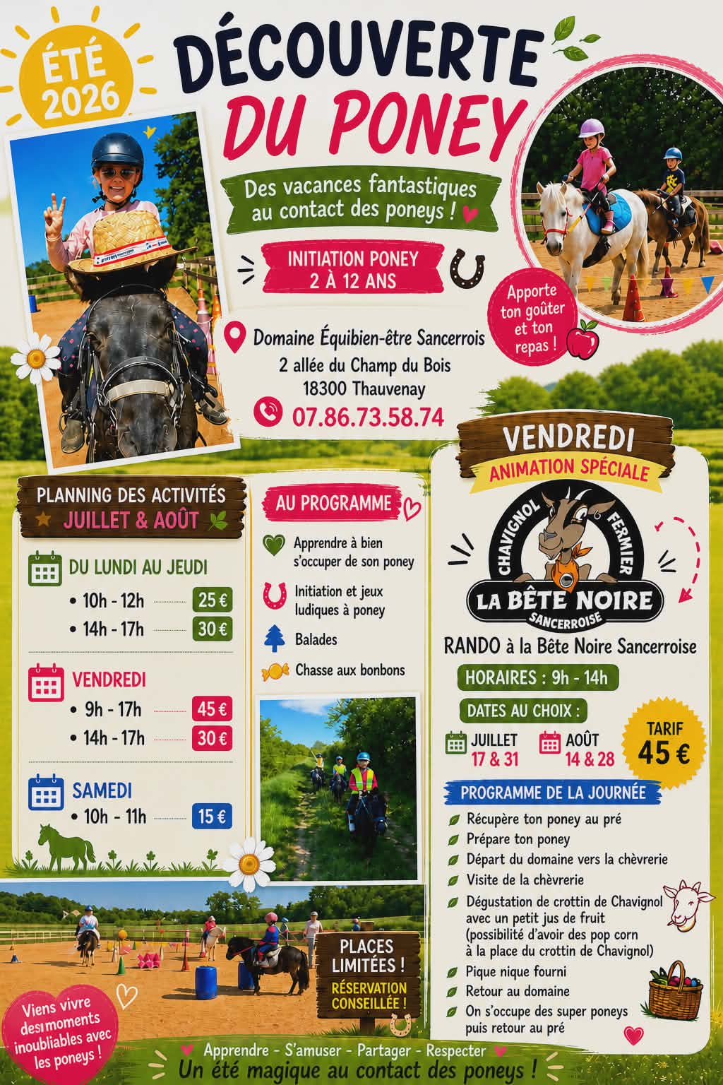 Initiation poney - Vacances Juillet et Aout, Thauvenay - photo 2