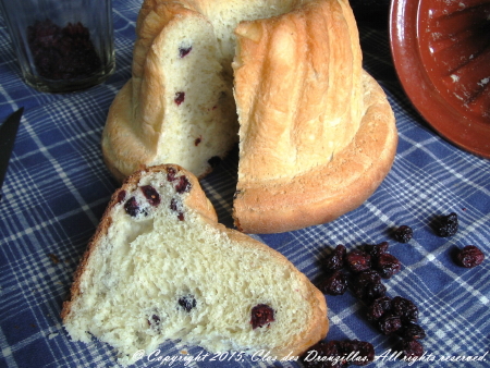 La Villa Dunois, Orléans - photo 3