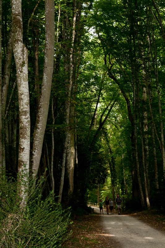 Château de Valençay, Valençay - photo 5