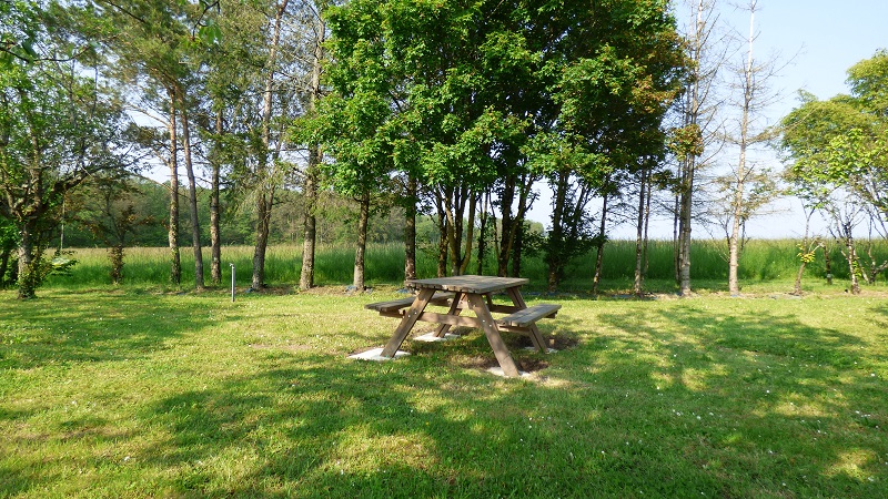 La Rabellerie, Chisseaux - photo 5