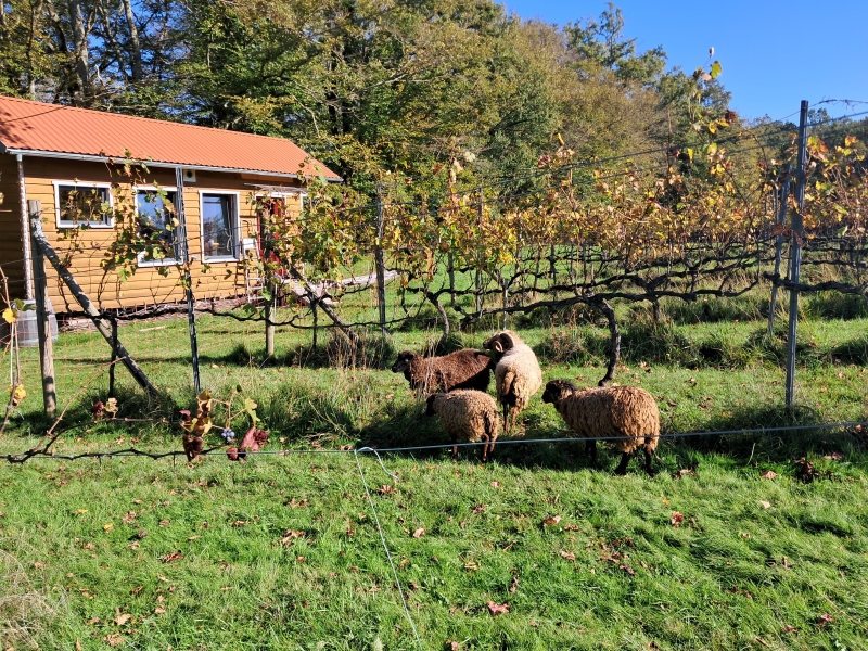 Petite maison la Barre, Chalais - photo 4