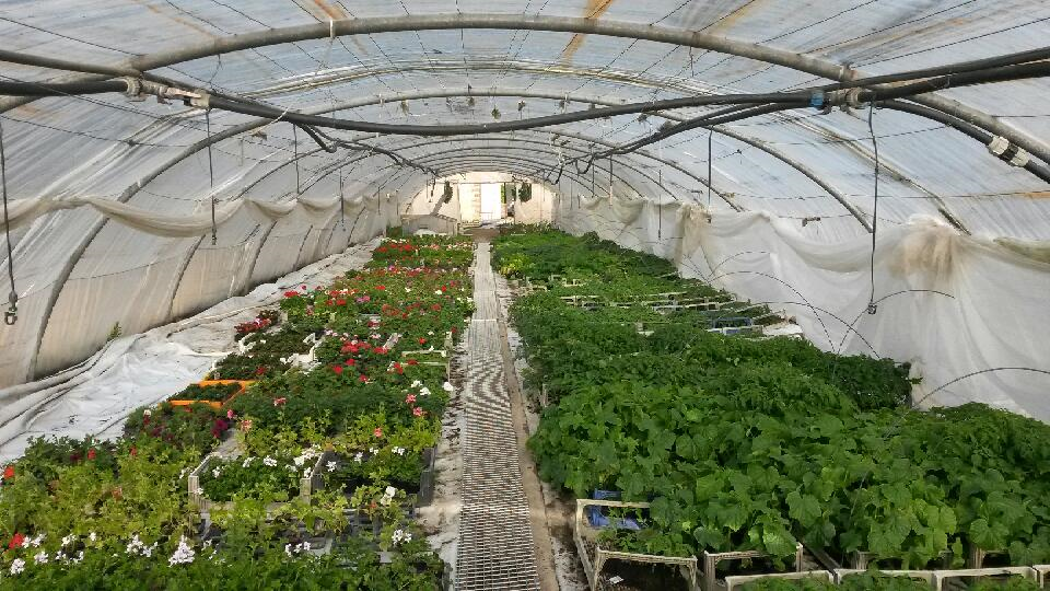 Ferme de la Brouaze