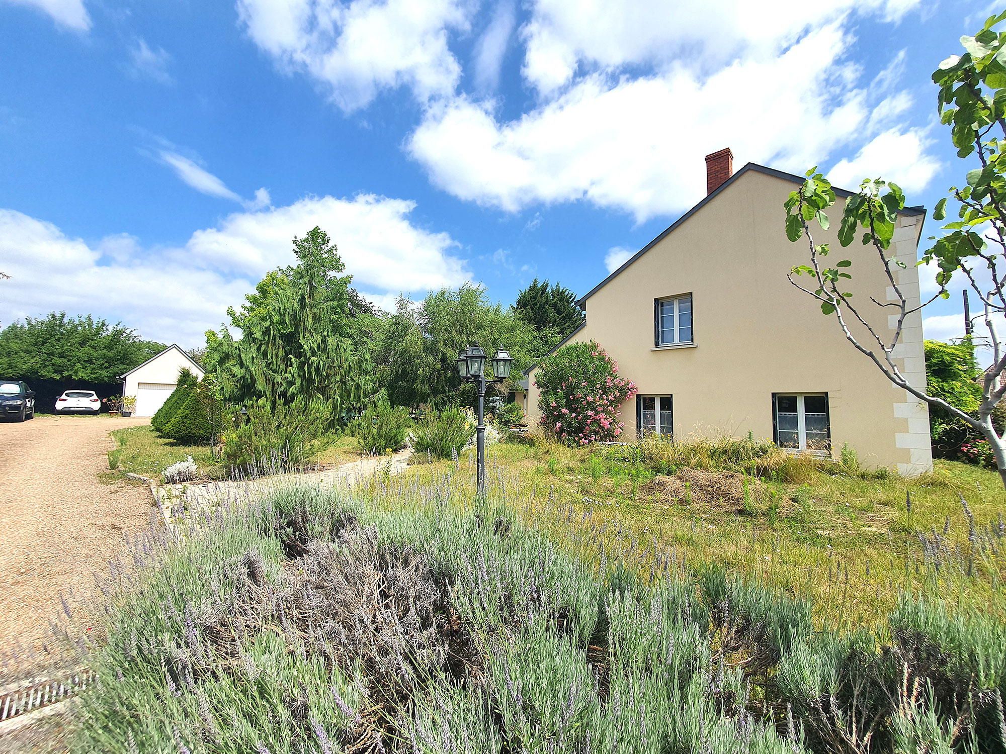 La Chambre des Châteaux, Cellettes - photo 16