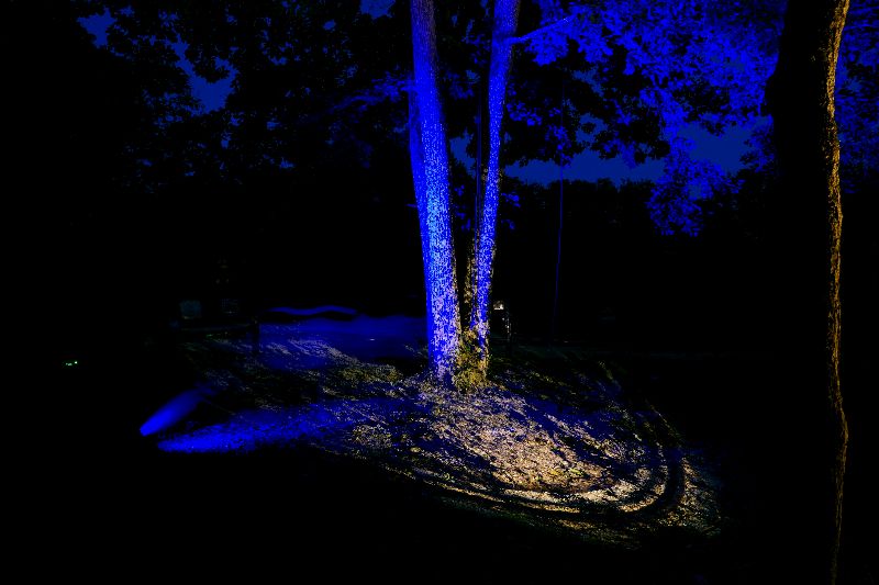 La Forêt vous murmure
