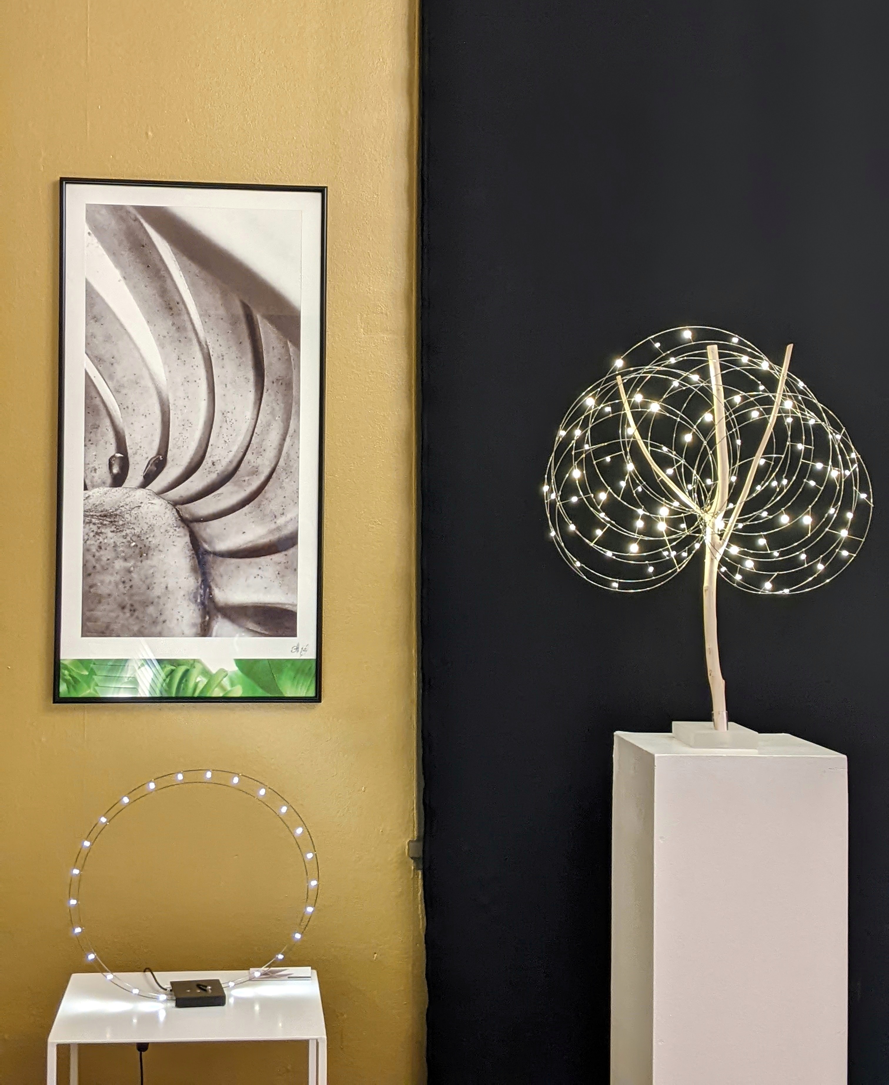 Galerie d'Art LaBo 24, Henrichemont - photo 9