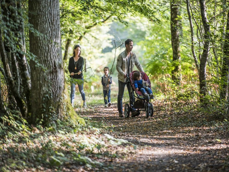 Labyrinthe de la Forêt de Tours-Preuilly, Preuilly-sur-Claise