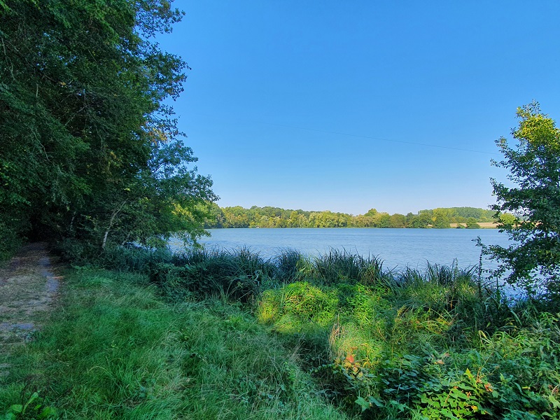 Des rives du Lac à la Chartreuse, Chemillé-sur-Indrois - photo 5