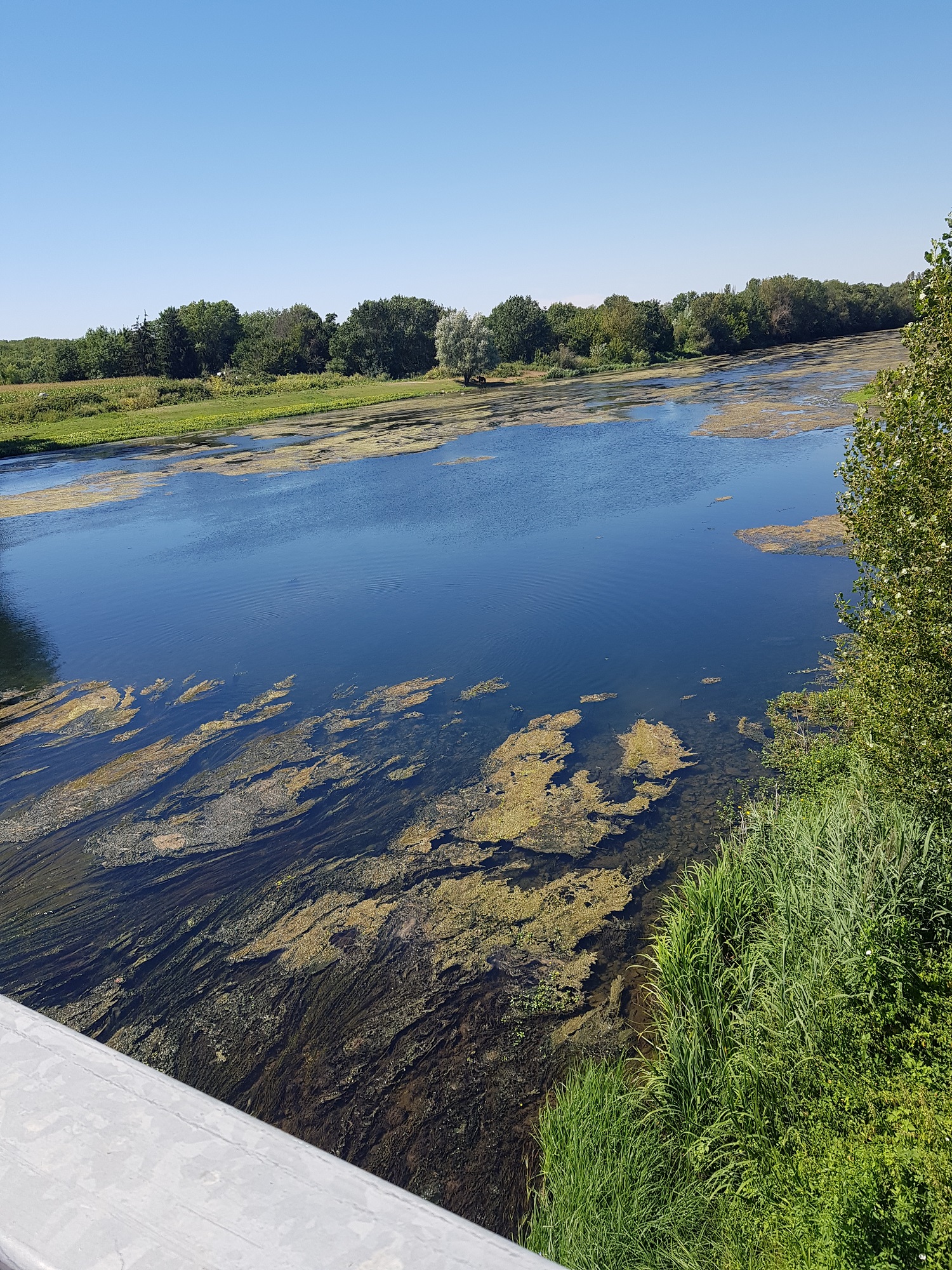 Camping l'entre-deux, Châtillon-sur-Cher - photo 13