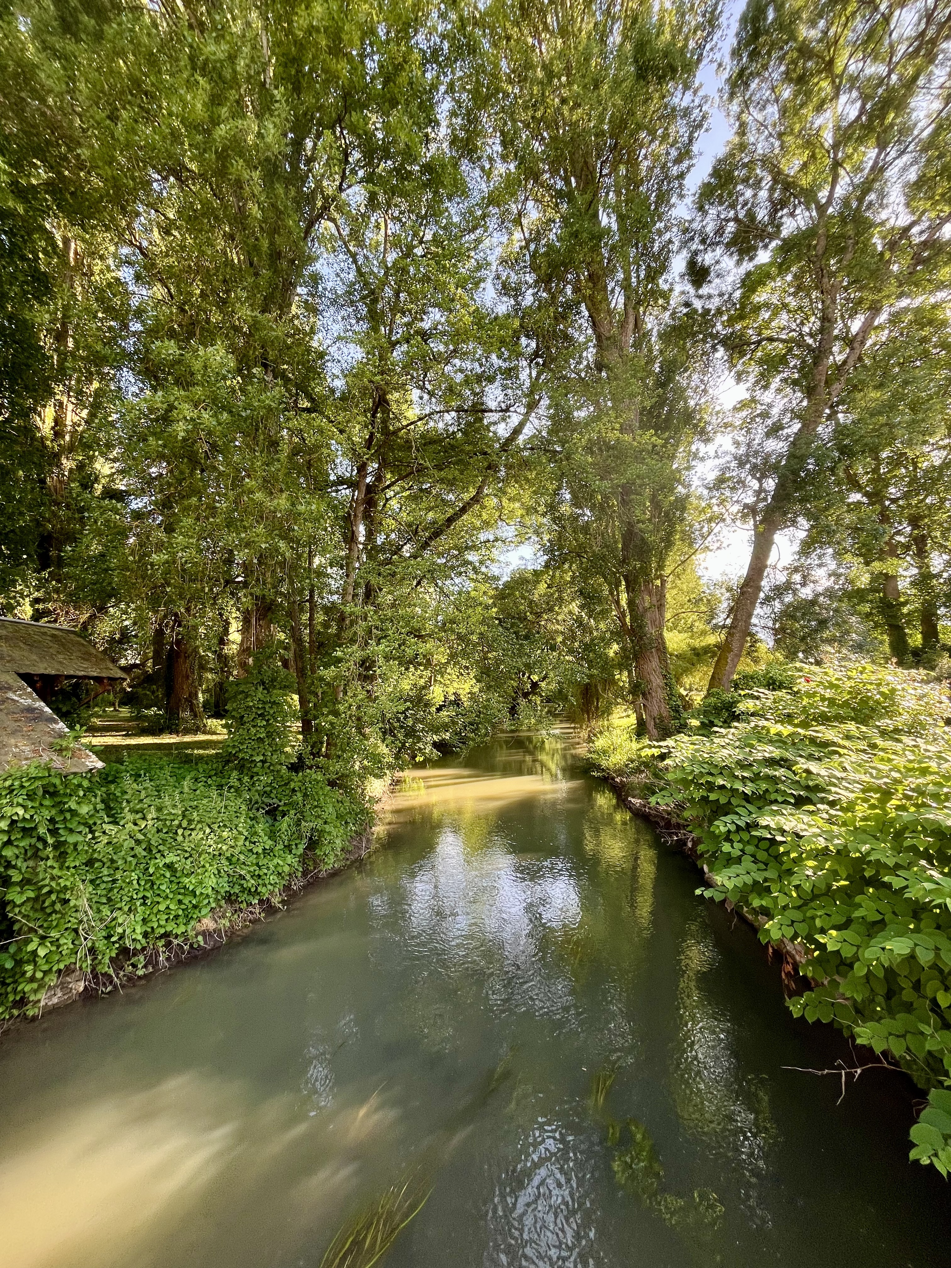 Domaine du moulin de la plaine, Troo - photo 7