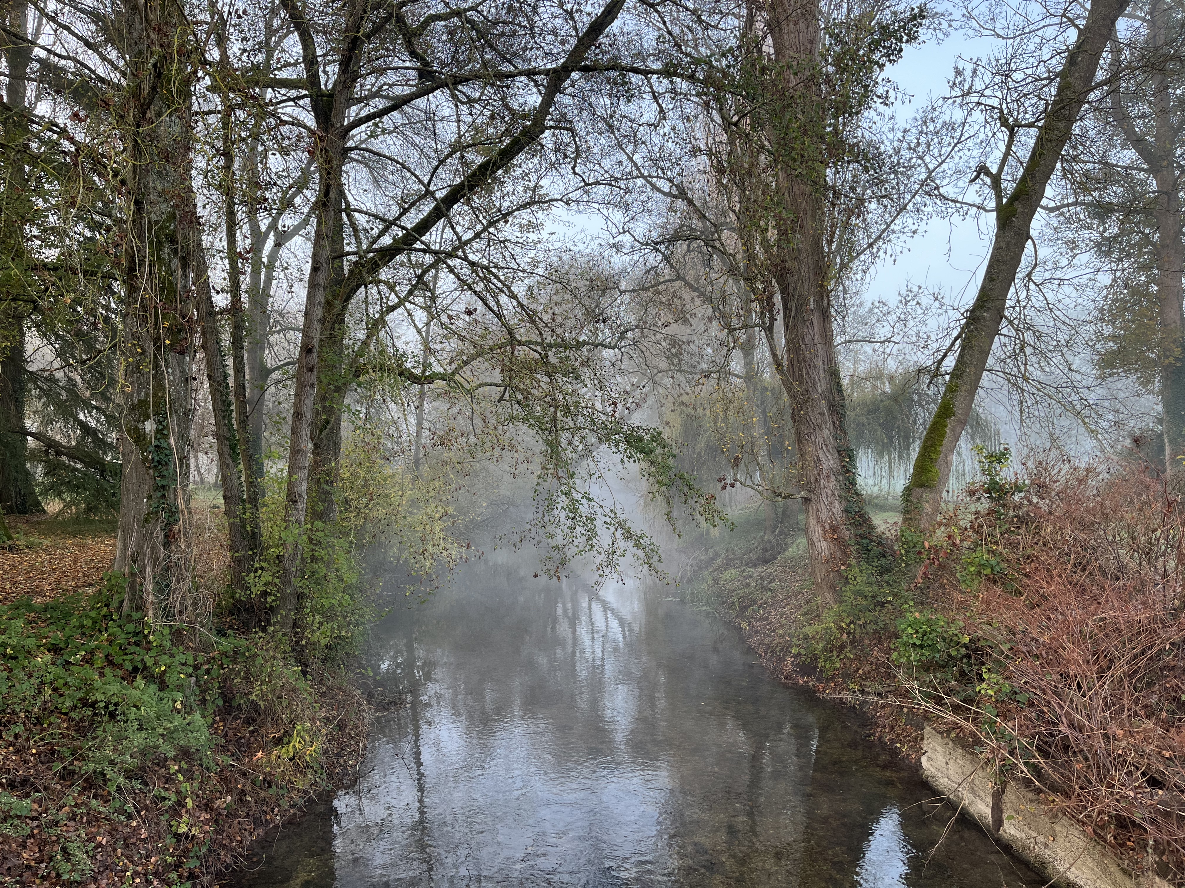 Domaine du moulin de la plaine, Troo - photo 13