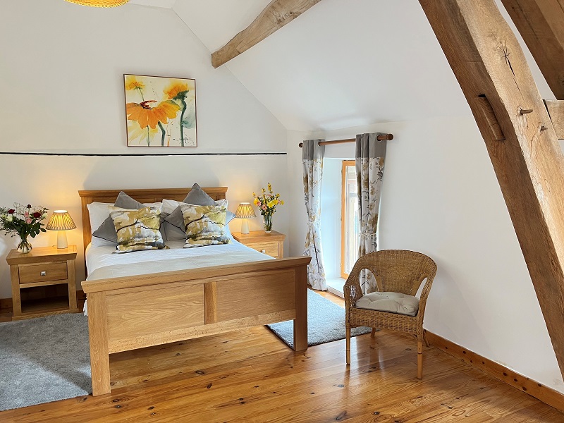 Les Petites Cigognes - Le Pluvier, Cussay - photo 2