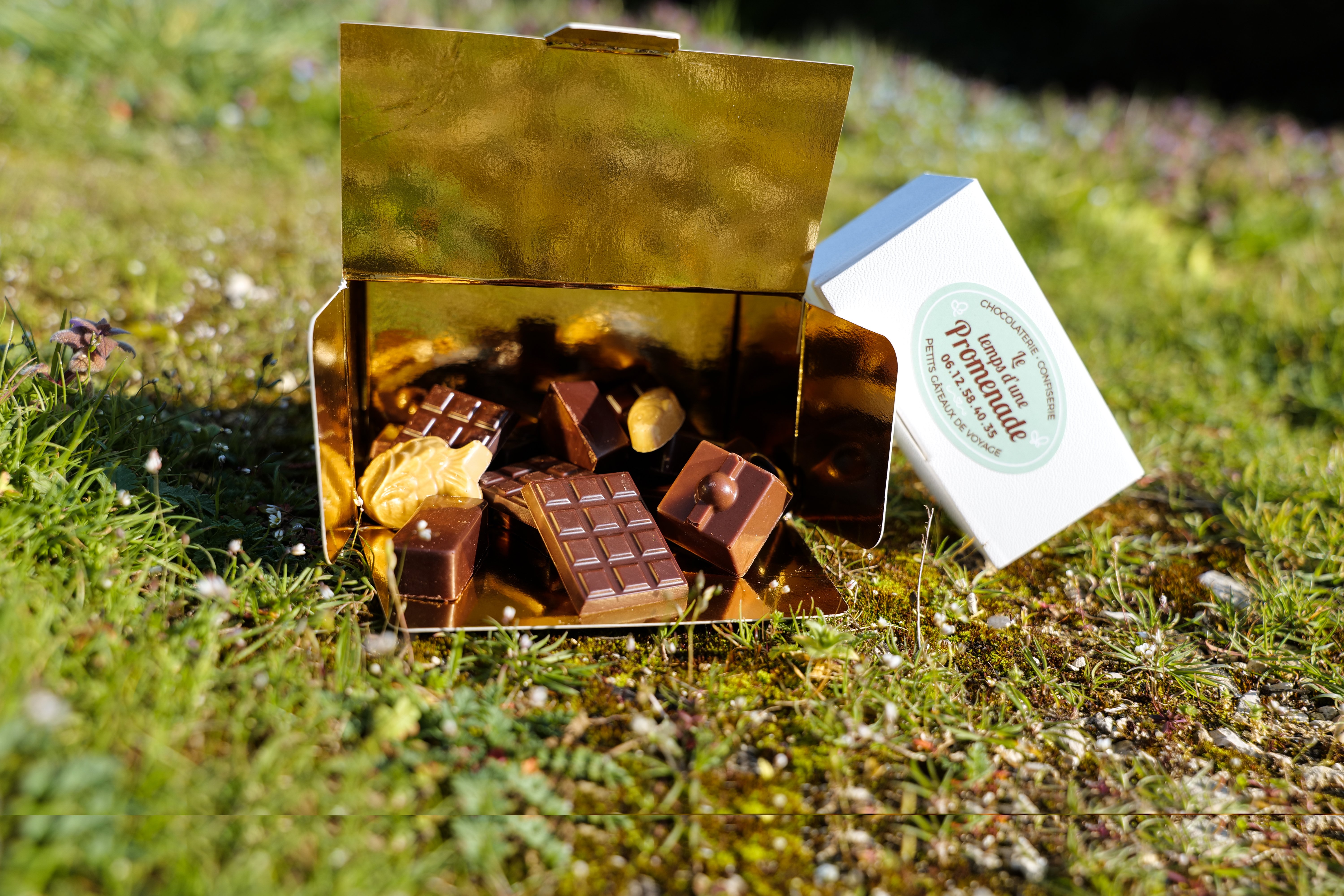 Le temps d'une promenade