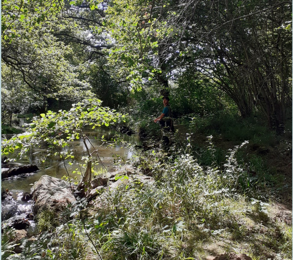 « Le Moulin des Fougères », Sidiailles - photo 4