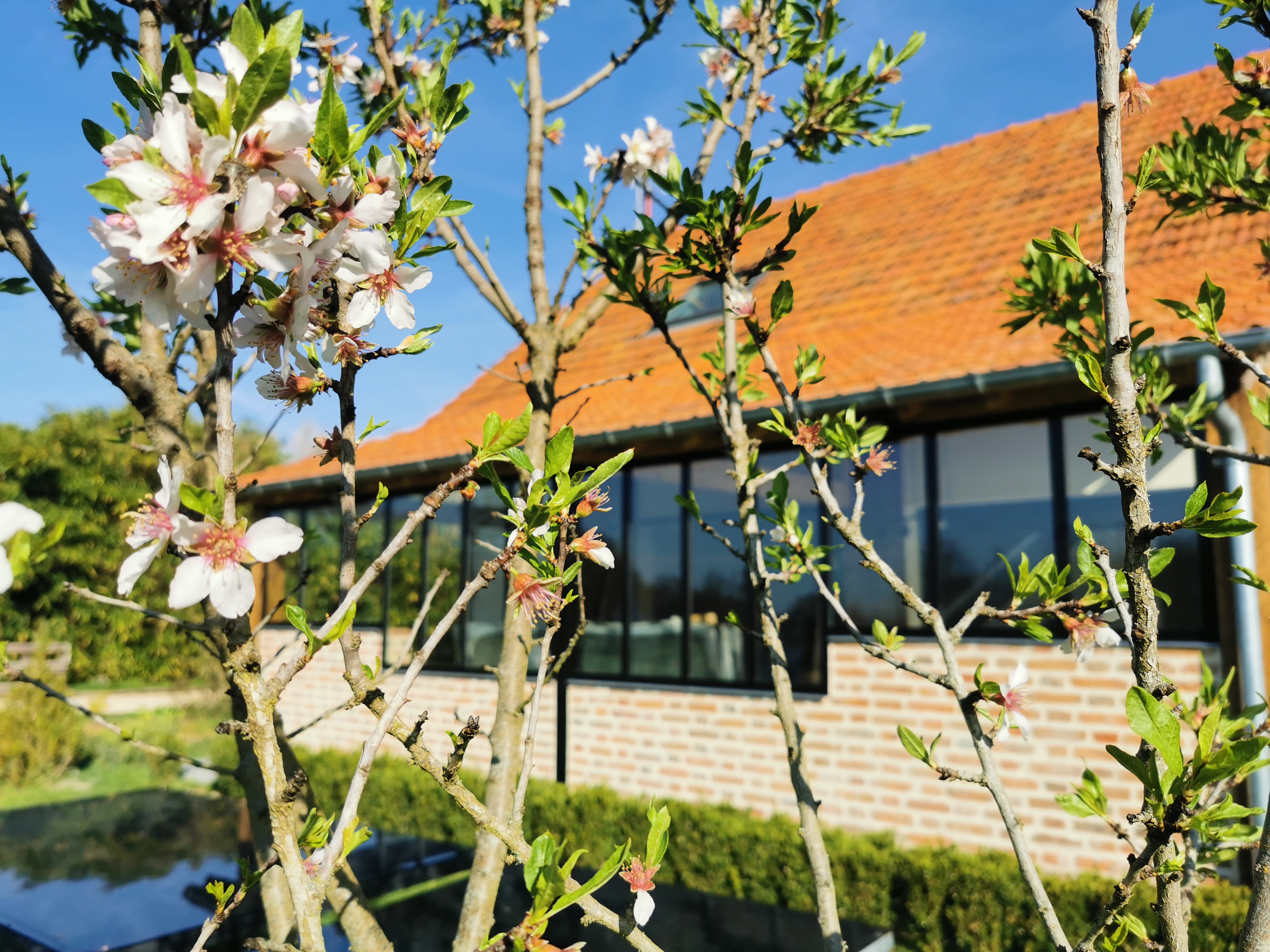Gîte le Pti' Fernin