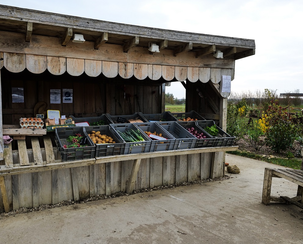 Le jardin maraicher du Beaunois — photo 3