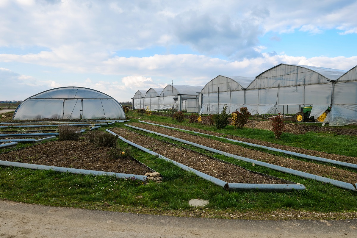 Le jardin maraicher du Beaunois