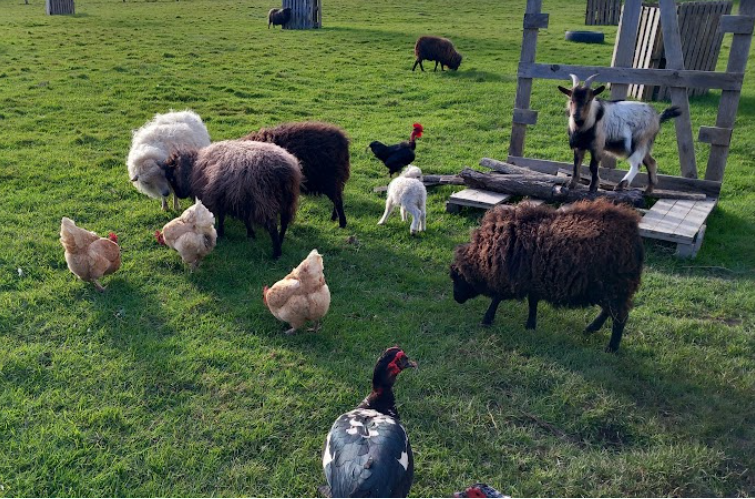 Gîte Les Logeries, La Ferrière - photo 9