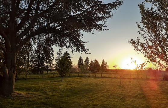 Gîte Les Logeries, La Ferrière - photo 10