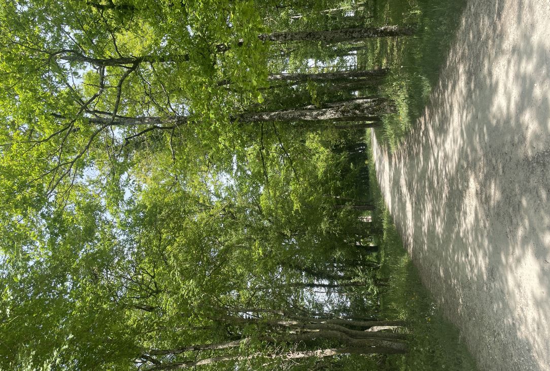 Le Chemin du Plessis