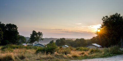 Camping Parc de la Brenne, Lignac - photo 4
