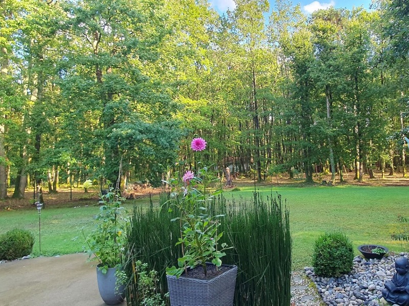 Logis Saponine, Savonnières - photo 9