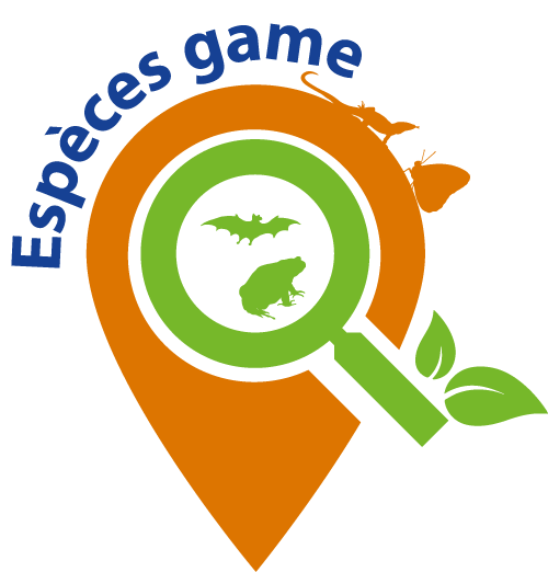 La Pelouse et le Marais de Roussy, Saint-Georges-sur-Arnon - photo 4