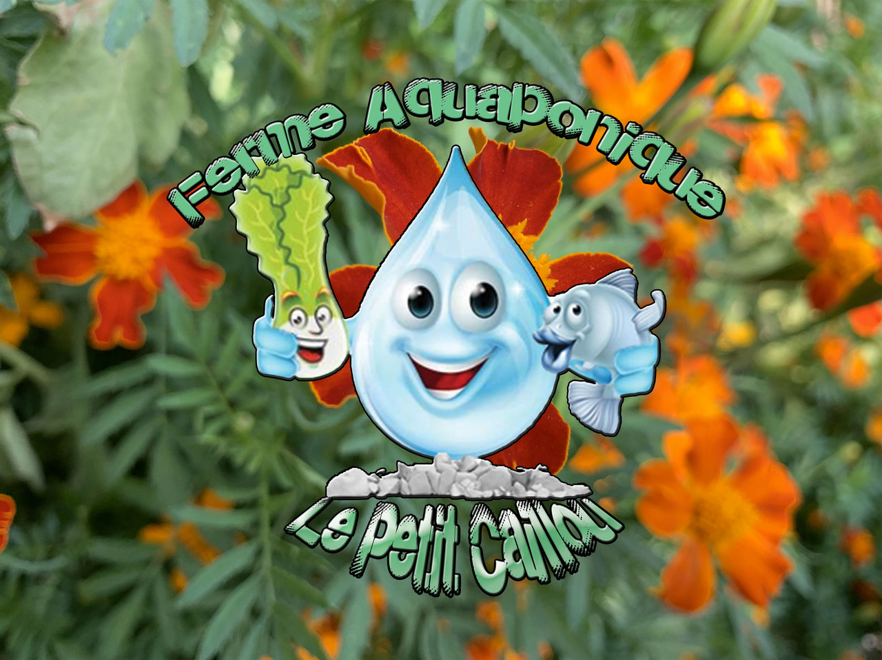 Ferme Aquaponique "le Petit Caillou"