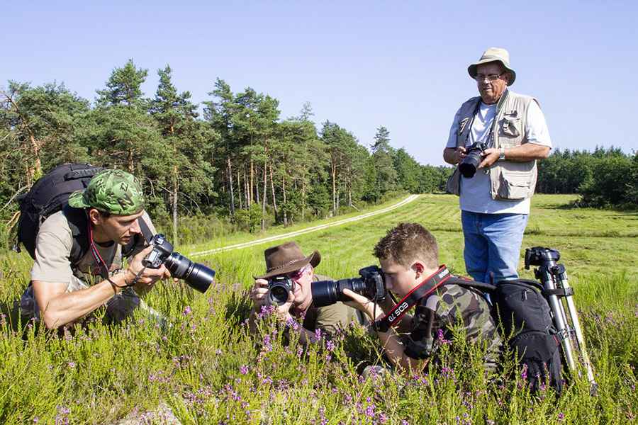 Stage de macrophotographie en Brenne