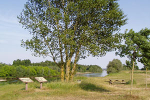 Aire de pique-nique de Maimbray - photo 2