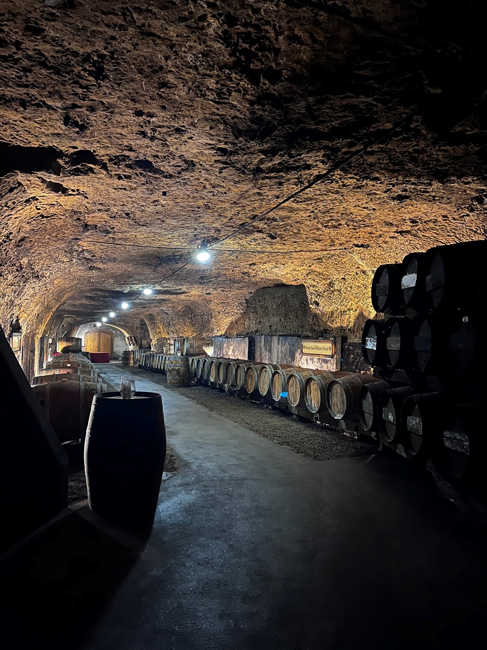 Maison Brédif: visite et dégustation