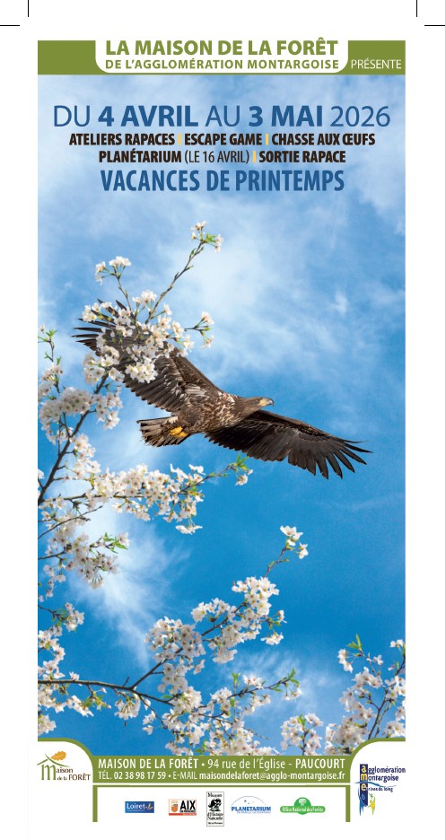 Exposition/ Escape Game expédition libellules