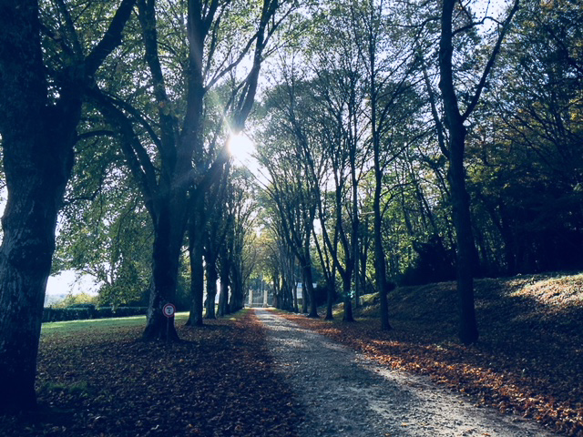 La Maison de la grille du Château d'Hodebert, Saint-Paterne-Racan - photo 12